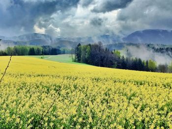 Scenic view of field against cloudy sky