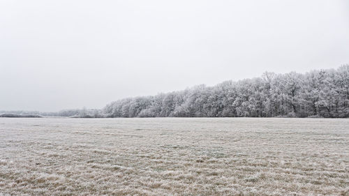 Scenic view of field against clear sky