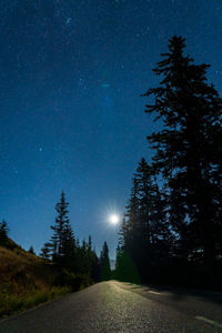 Scenic view of trees against sky at night