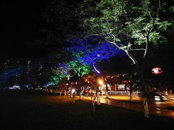 Illuminated trees in city at night