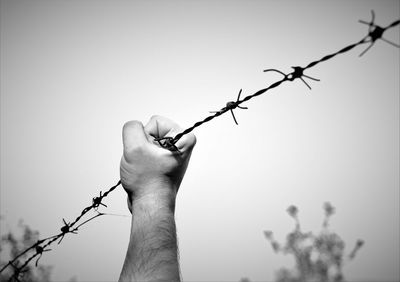 Hand holding barbed wire against clear sky