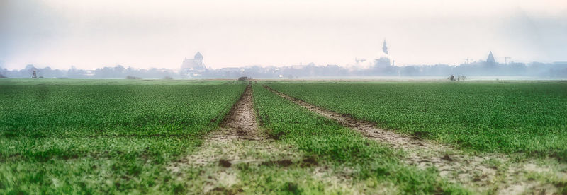 Scenic view of field against sky