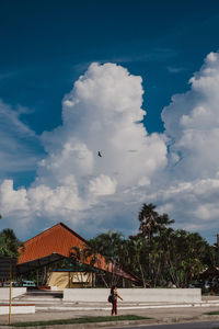 Birds flying over building