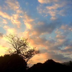 Low angle view of silhouette trees against sky at sunset