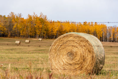 Hay bales on field against sky