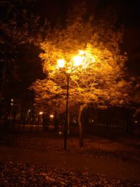 Silhouette of lamp post at night