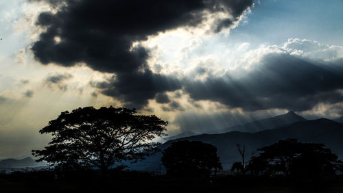 Low angle view of silhouette tree against storm clouds