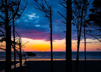 Scenic view of sea at sunset