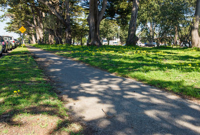 Footpath in park