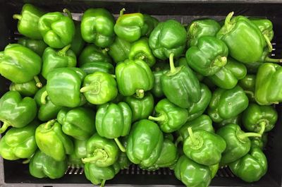 Close-up of green chili peppers in market