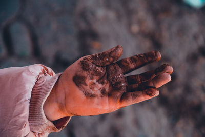 Close-up of hand holding leaf