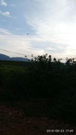 Bird flying over landscape against sky