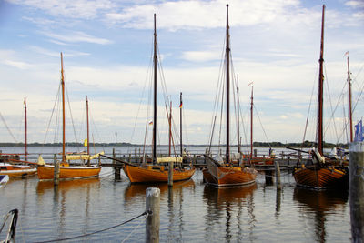 Sailboats moored in harbor