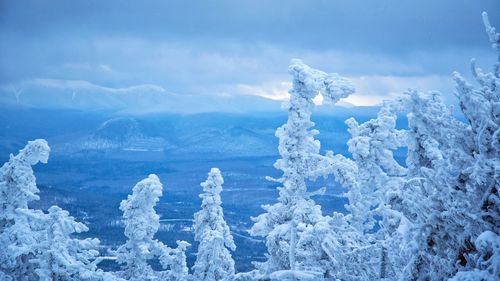 Scenic view of frozen sea against blue sky