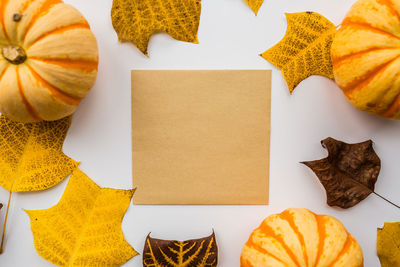 High angle view of pumpkin on table