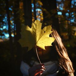 Close-up of hand holding maple leaf during autumn