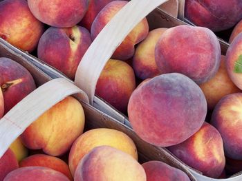 Close-up of peaches in basket