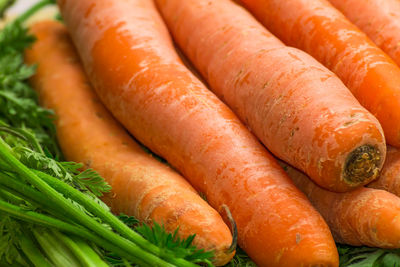 Full frame shot of carrots