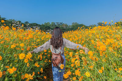 Rear view of woman standing by yellow flowering plants