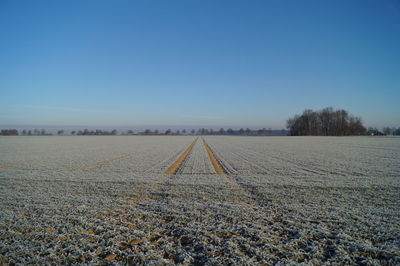 Scenic view of agricultural field against clear blue sky