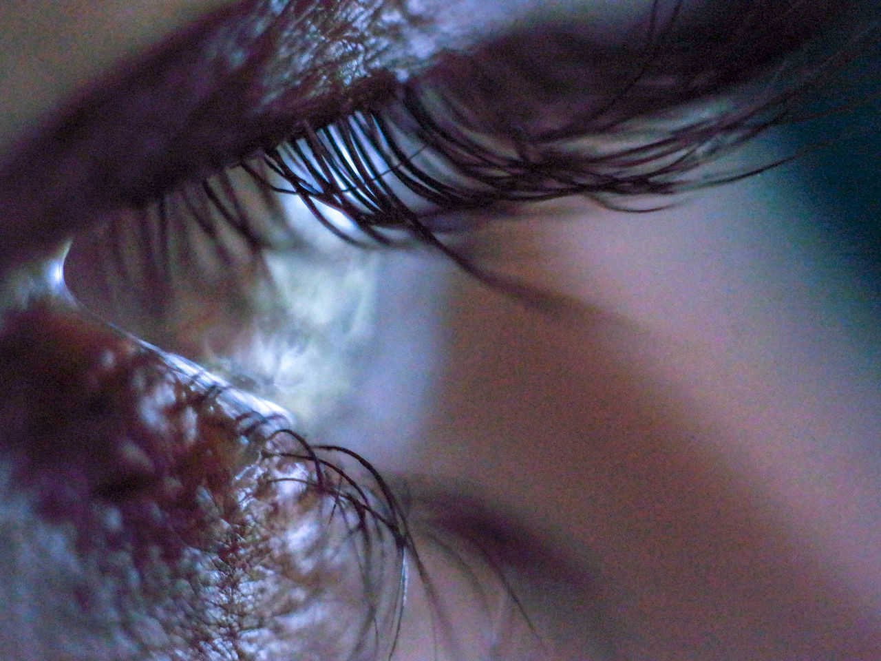 EXTREME CLOSE-UP OF WOMAN EYE WITH HAIR