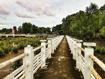 Weathered footbridge against trees