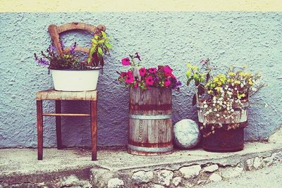 Potted plants on wall