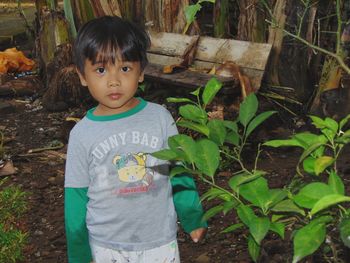 Portrait of boy standing amidst plants