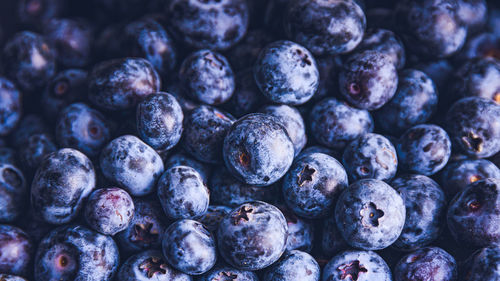 Full frame shot of blueberries