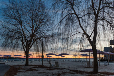 Bare trees against sky