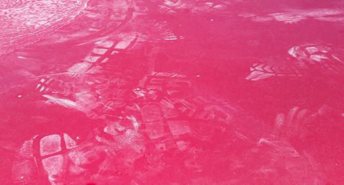 Full frame shot of pink petals