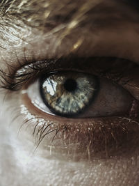 Extreme close-up portrait of woman eye