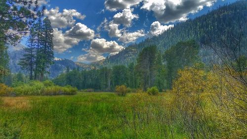 Scenic view of landscape against cloudy sky