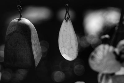 Close-up of water lily hanging on plant