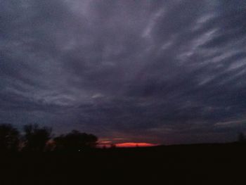 Silhouette of trees against dramatic sky