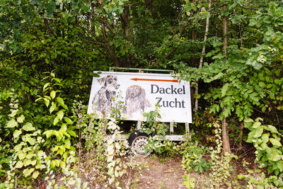 Information sign board on tree in forest