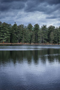 Scenic view of lake in forest against sky