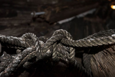 Close-up of rope tied on metal