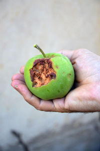 Close-up of man holding fruit