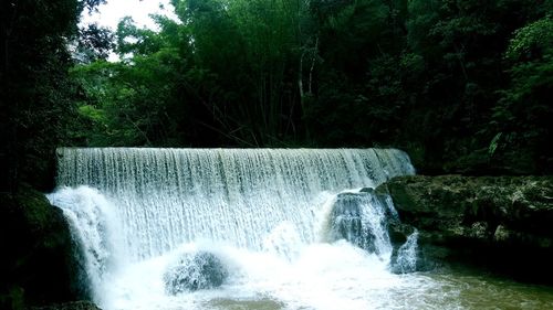 Waterfall in forest