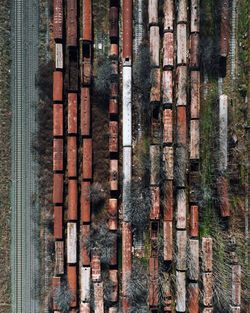 Full frame shot of tree trunk in forest