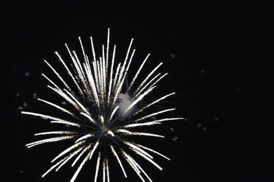 Low angle view of firework display