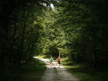 Rear view of backpackers walking in forest