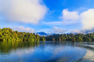 Scenic view of lake by trees against sky