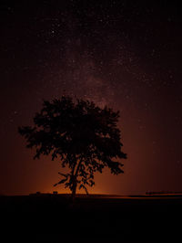 Silhouette tree on field against sky at night