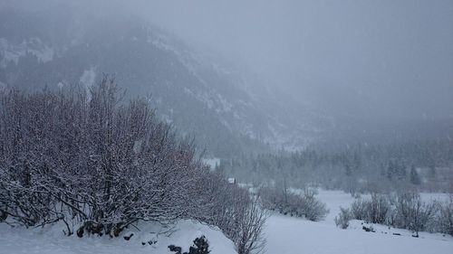 Scenic view of snow covered landscape