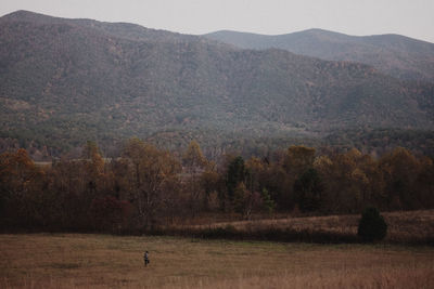 Scenic view of landscape