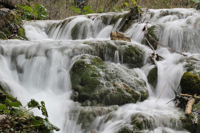 Scenic view of waterfall in forest