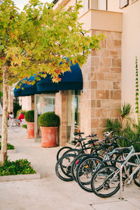 Potted plants outside house against building