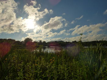 Scenic view of lake against sky